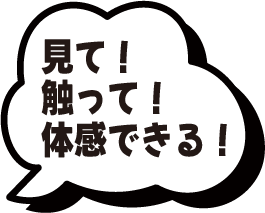 外壁塗装 ペイントアップ